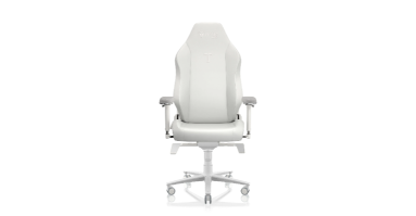 Secretlab TITAN Evo - Fauteuil Gaming Premium pour un Confort Inégalé