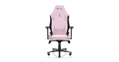 Secretlab TITAN Evo - Fauteuil Gaming Premium pour un Confort Inégalé